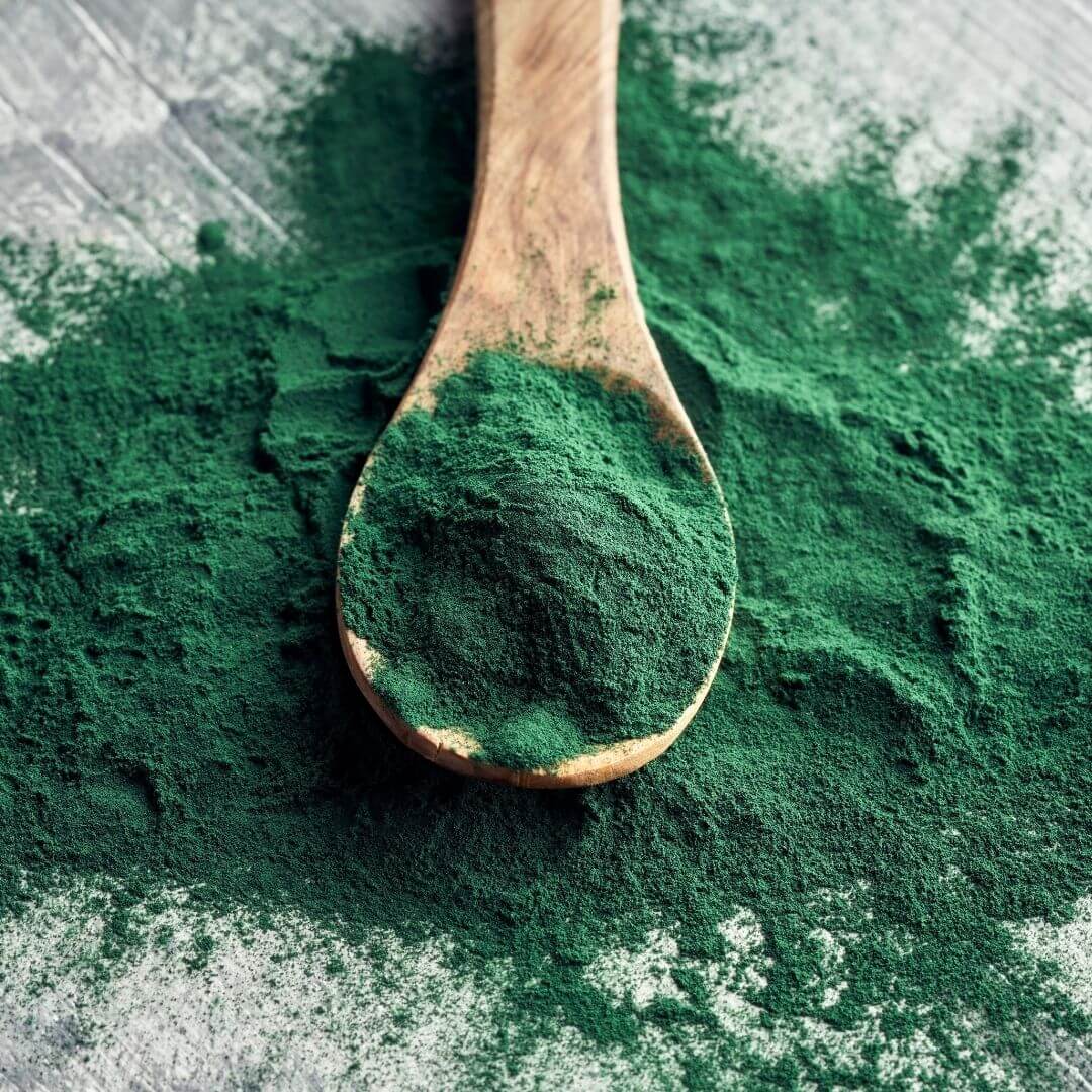 Spirulina em pó